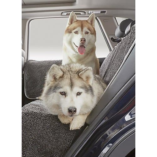 Rug Armour Door Protector