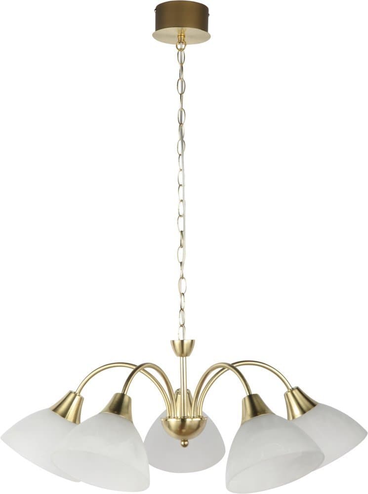 Heitronic Baroque 5 x 4.5 W LED Ceiling Light, Brushed Brass HEI 27896 [Energy Class A]