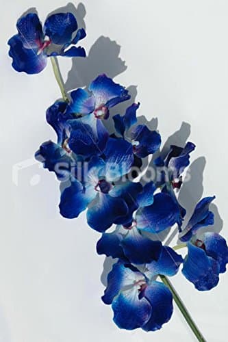 Silk Blooms Ltd Artificial Midnight Blue Orchids, Real Touch Blue Vanda Orchids