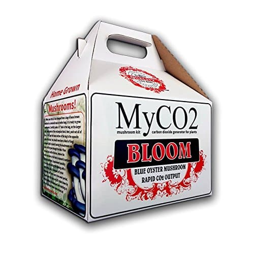 MYCO2 BLOOM – MUSHROOM KIT / CO2 BAG