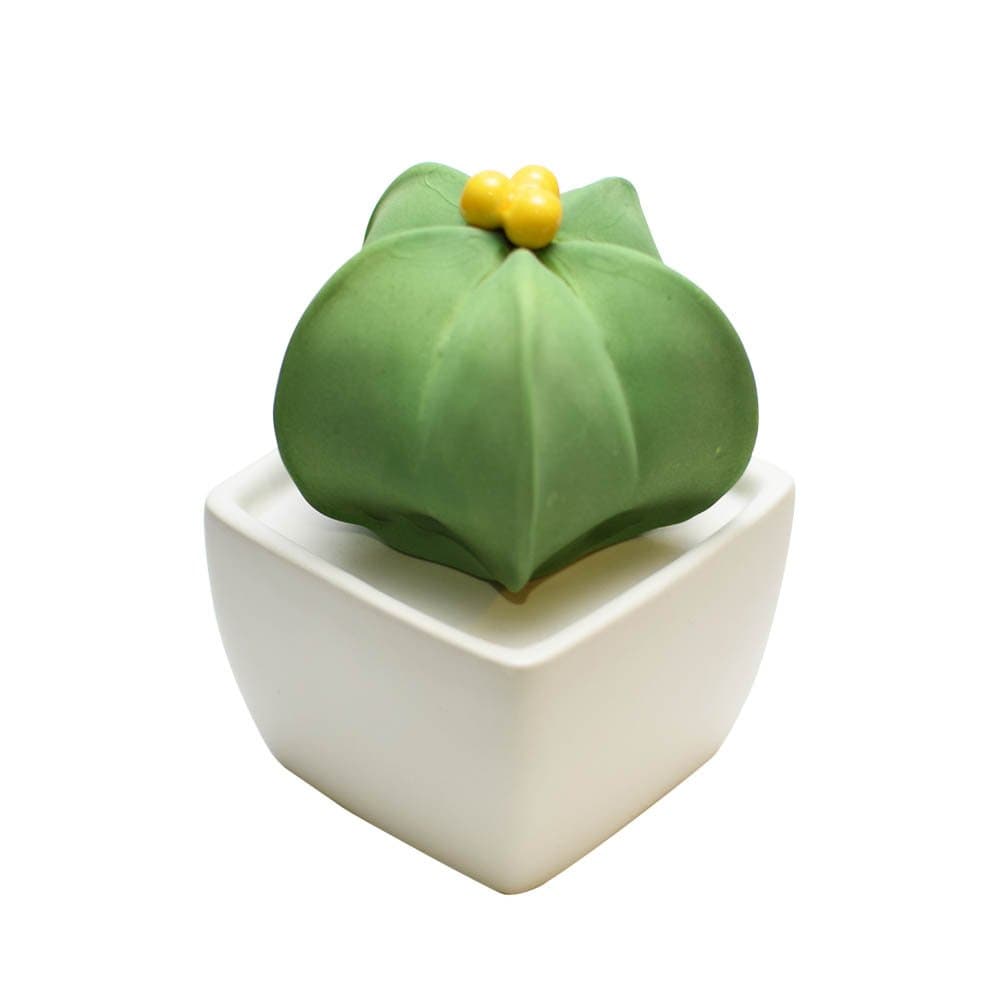 Aroma Space Lively Breeze Ceramic Fragrance Diffuser - Star Cactus