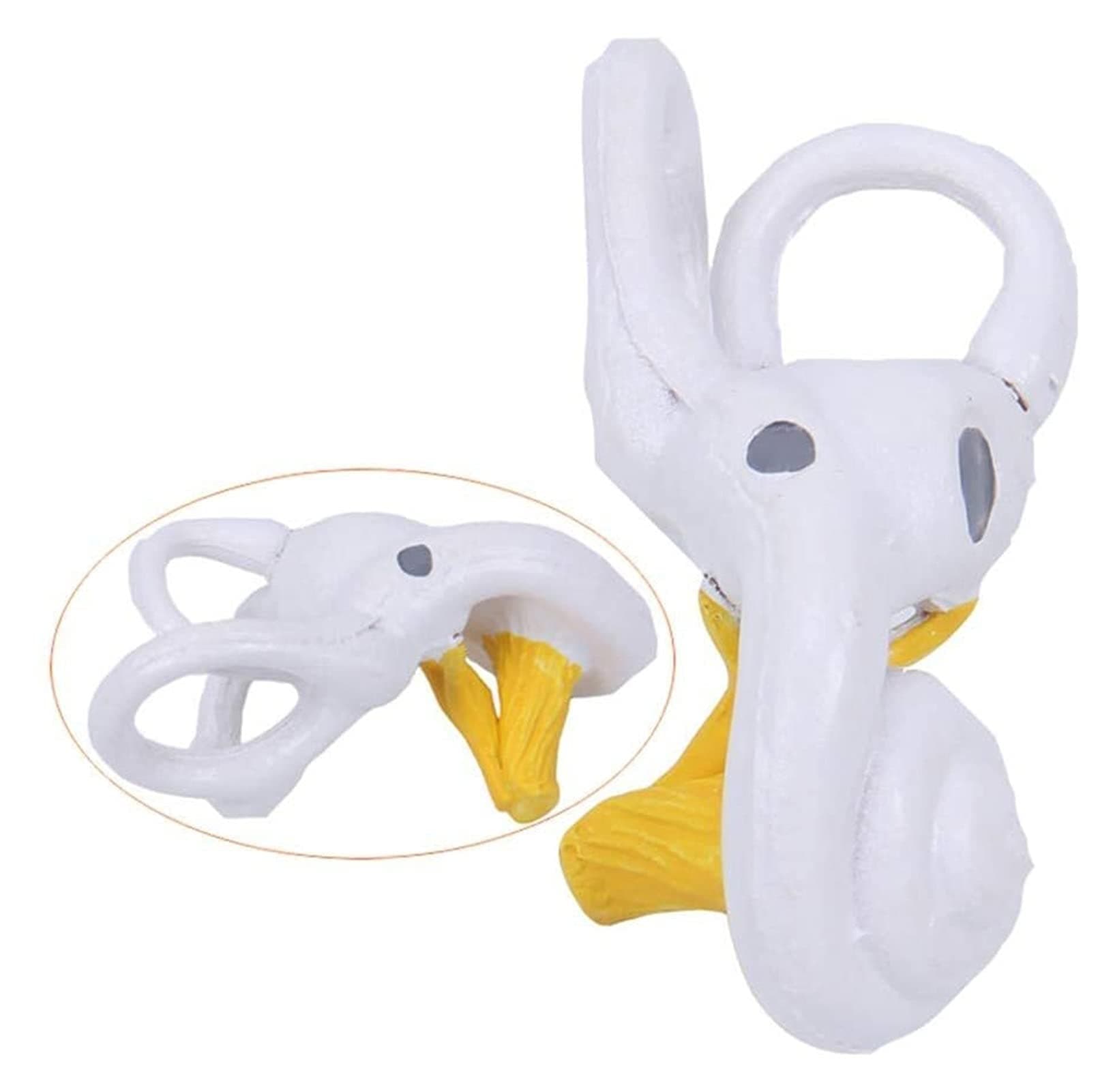 Body Model Ear Model Inner Ear Labyrinth Model Cochlear Labyrinth And Membrane Labyrinth Anatomy Models Medical Training Aid