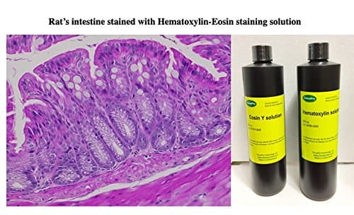 Hematoxylin-Eosin (H&E) staining kit 500 mL from TISSUEPRO