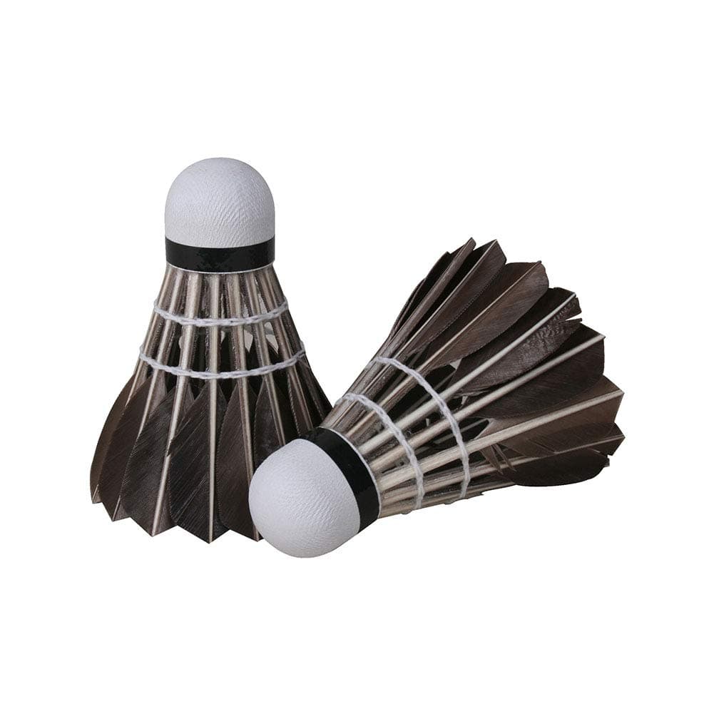 12 PCS/SET Advanced Goose Feather Badminton Stable High Speed Shuttlecocks Durable Badminton Birdies Balls Black