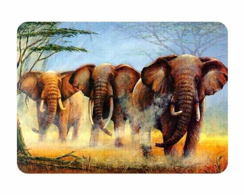 Large Premium Glass Chopping Board - Elephants Kitchen Worktop Saver Protector