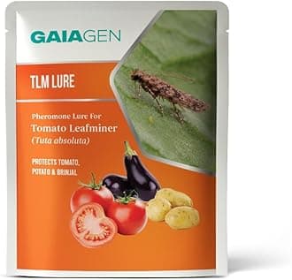 - Lures - Pheromone Lure for Tomato Leafminer (Tuta absoluta) | Pack of 10 | (Does not Include Traps)