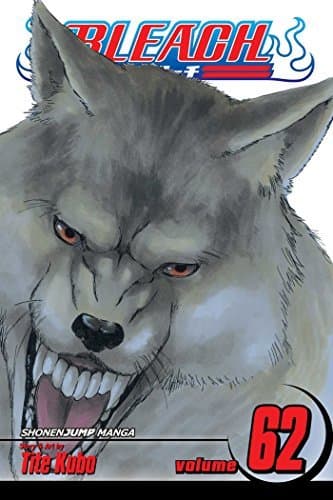 Bleach Volume 62: Heart of Wolf