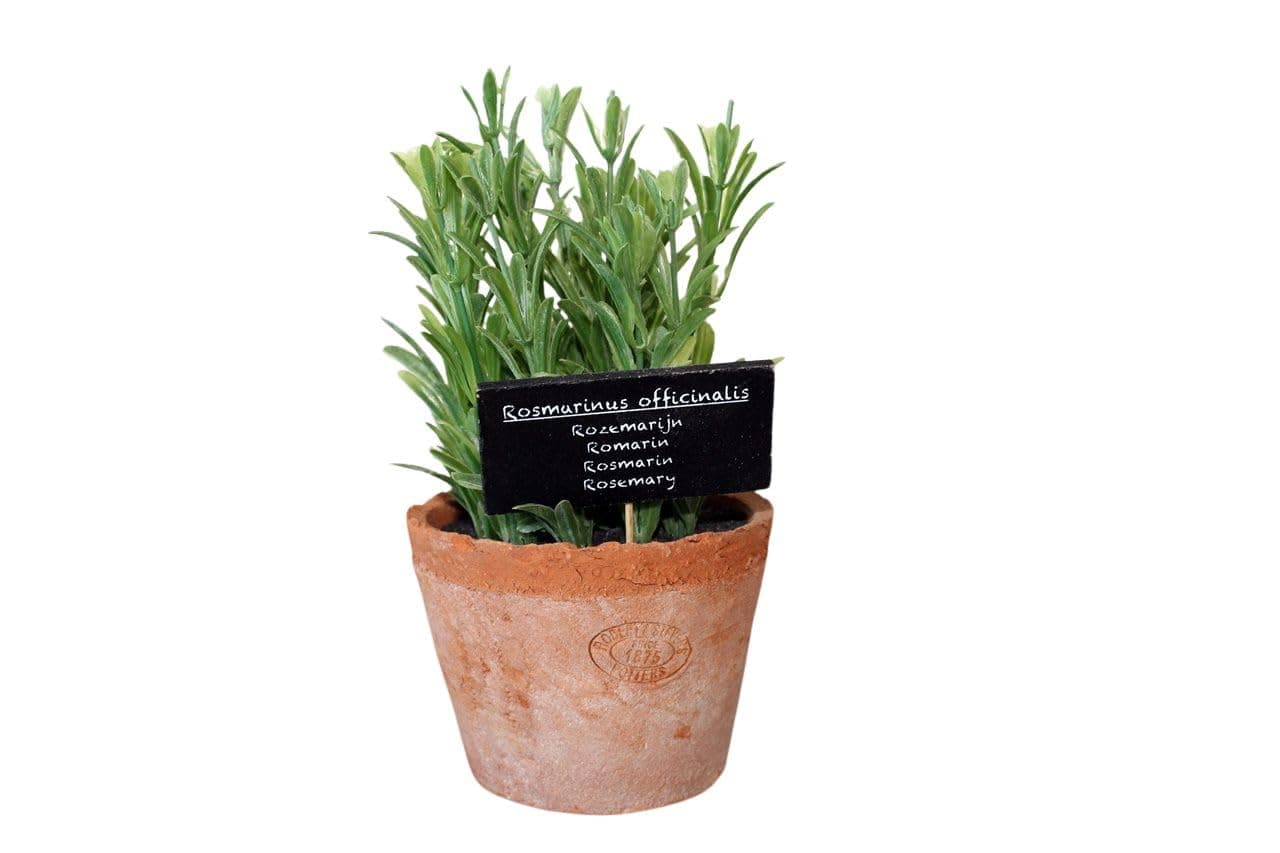 Artificial Herb Plant, Rosemary, Large
