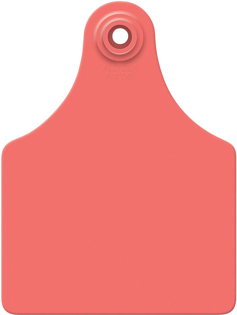 LG GLBL TAG RED BLNK 25'S