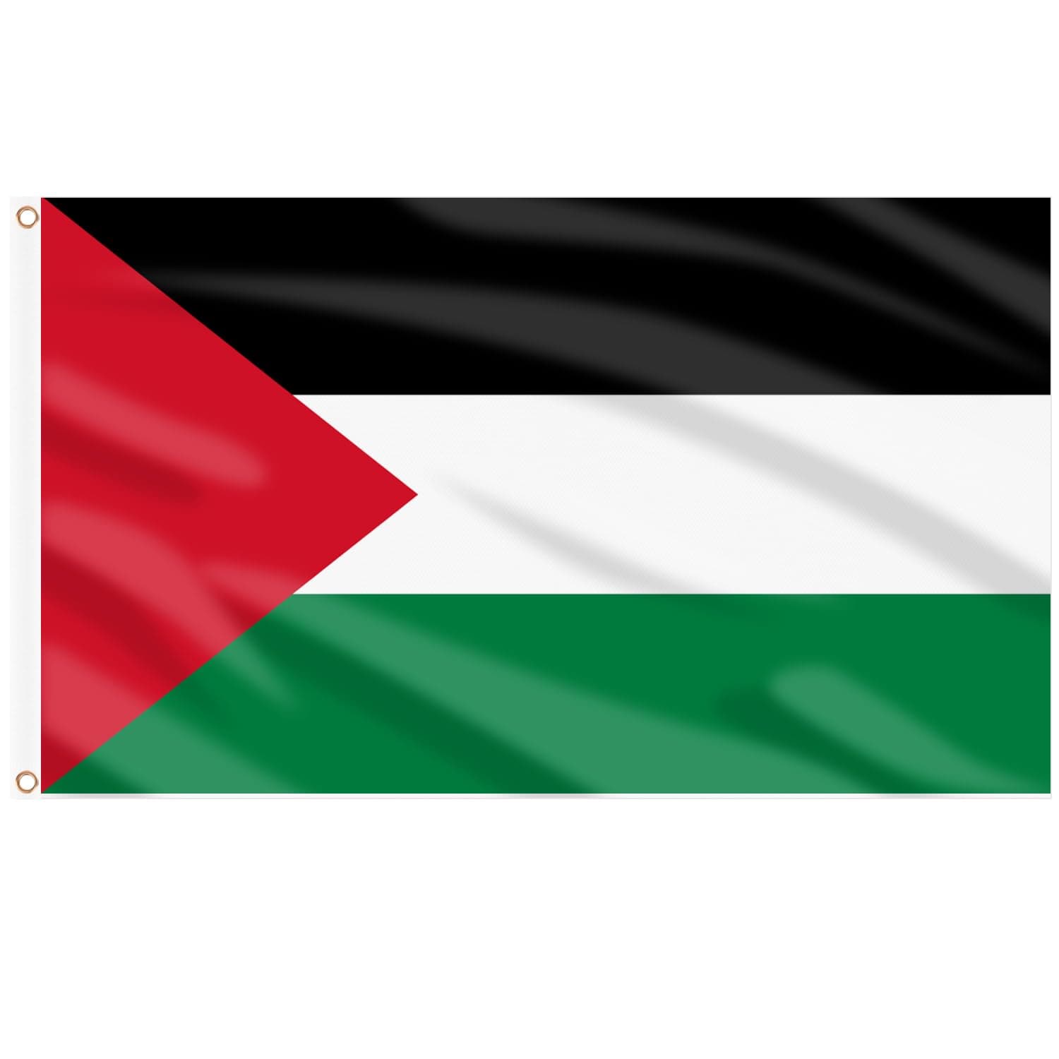 Palestine Flag