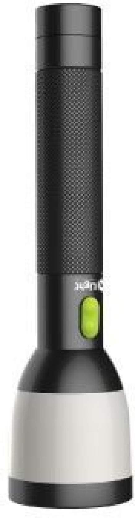 Mr. Light Torch Discovery