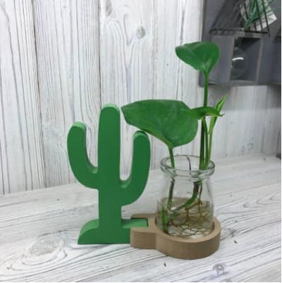 Presentoir Indoor Grow Tent – Cactus