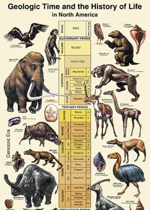 Prehistoric Planet Store - Geologic Time Chart