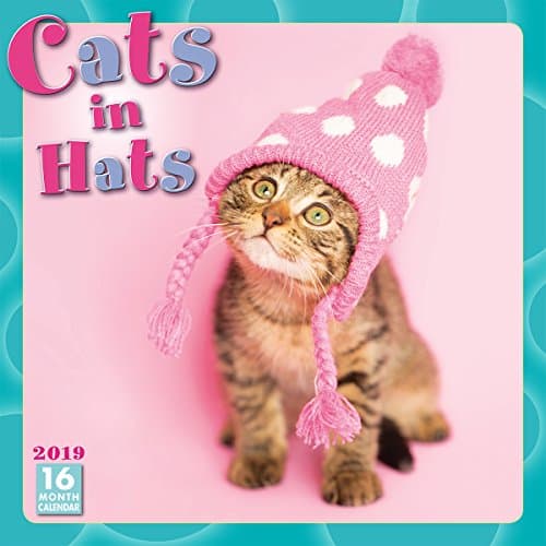 Cats in Hats 2019 Wall Calendar