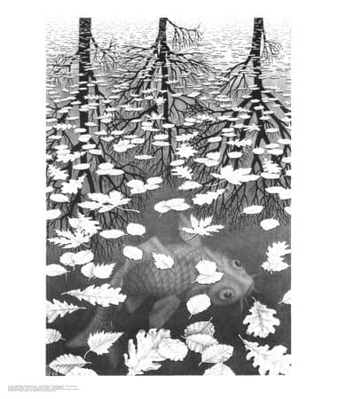 M.C. Escher Three Worlds Cool Wall Decor Art Print Poster 21.5x25.5