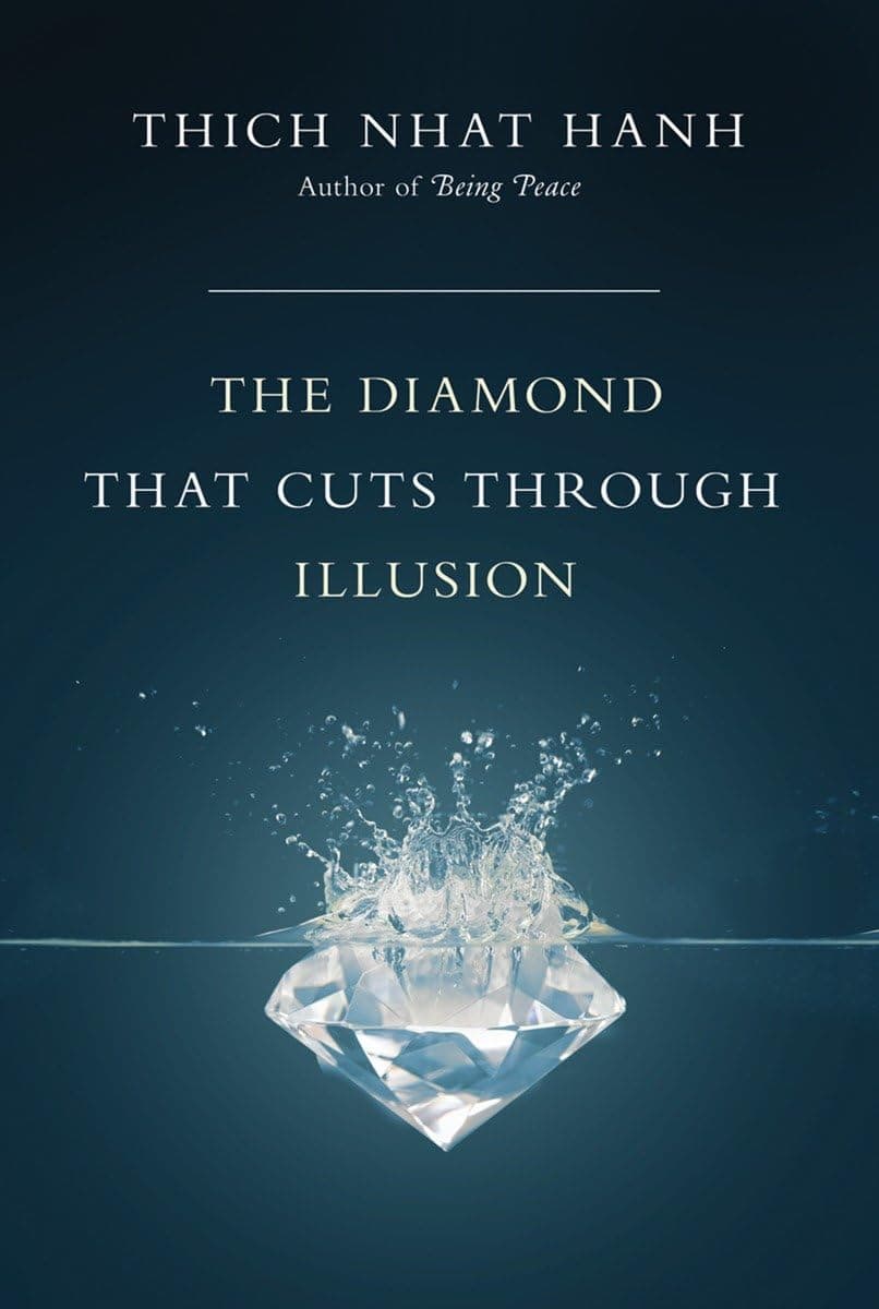 The Diamond That Cuts Through Illusion Paperback – 6 July 2010