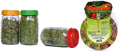 Sprouting Kit with Three Mason Sprouting Jars, Sprouting Chart Wheel, Sprout-Ease Toppers and Instructions