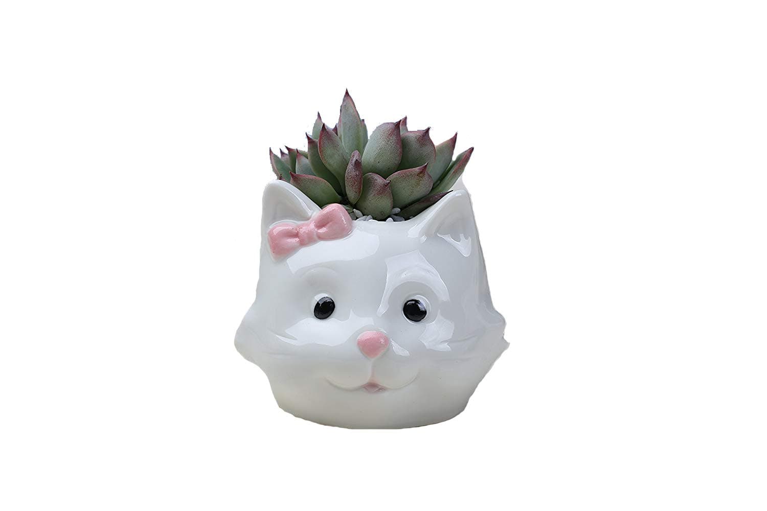 Cute cat Modern White Ceramic Succulent Planter Pots/Mini Flower Plant Containers