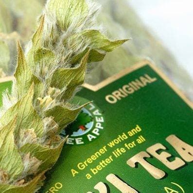 Mursalski Tea 22g Cellphane fan 5 pack