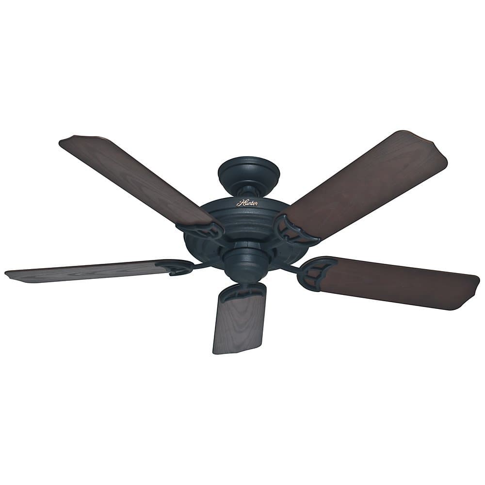 HunterIndoor / Outdoor Ceiling Fan, with pull chain control - Sea Air 52 inch, Black, 53060