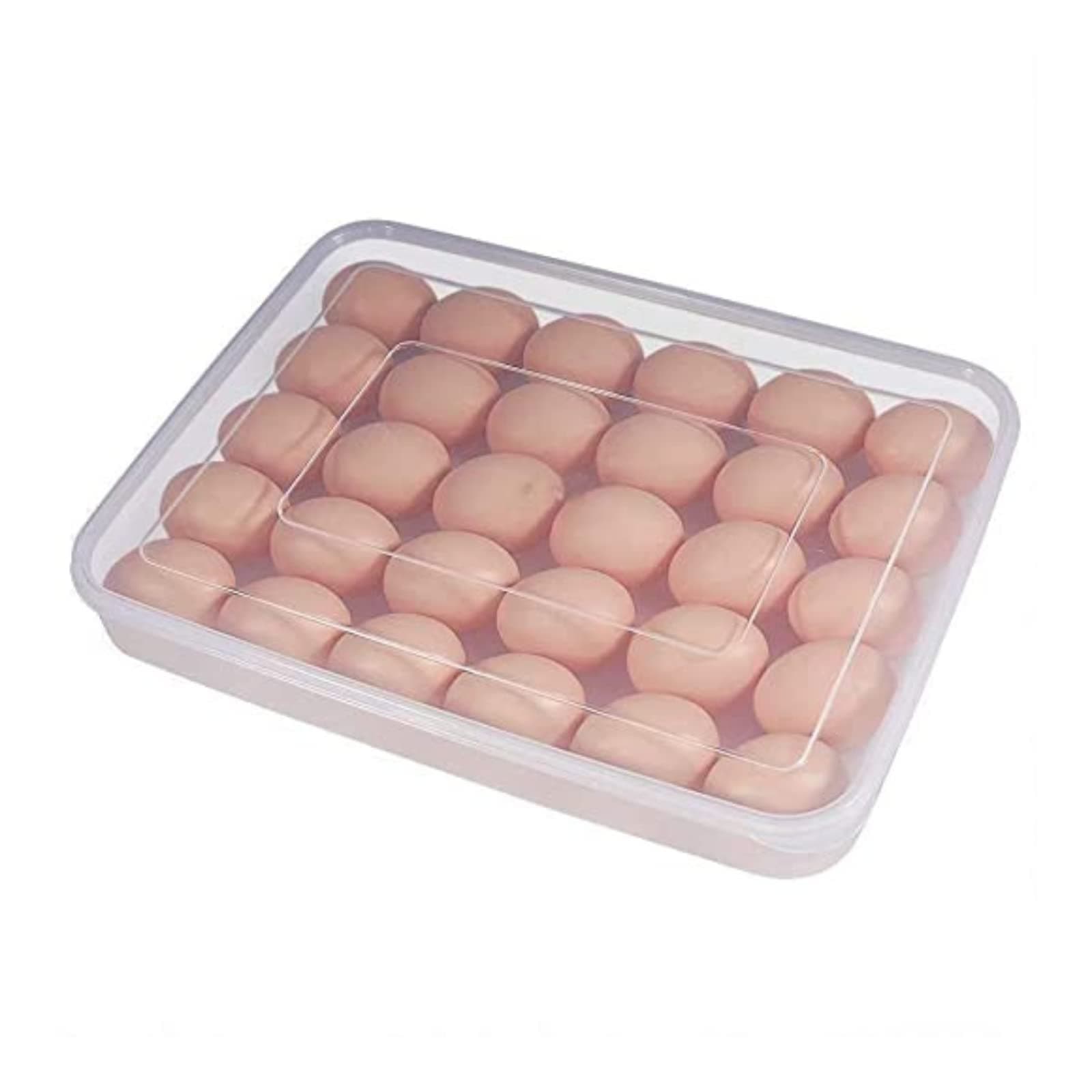 Tekzie Egg Tray for Fridge with Lid for 24 Eggs - 2 dozen Plastic Egg Container Plastic Egg Separator (Clear, Pack of 1)