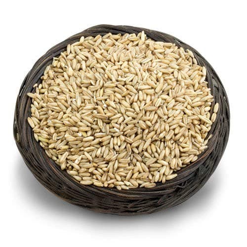 Oat Groats (for Birds Only)- 5 Lb