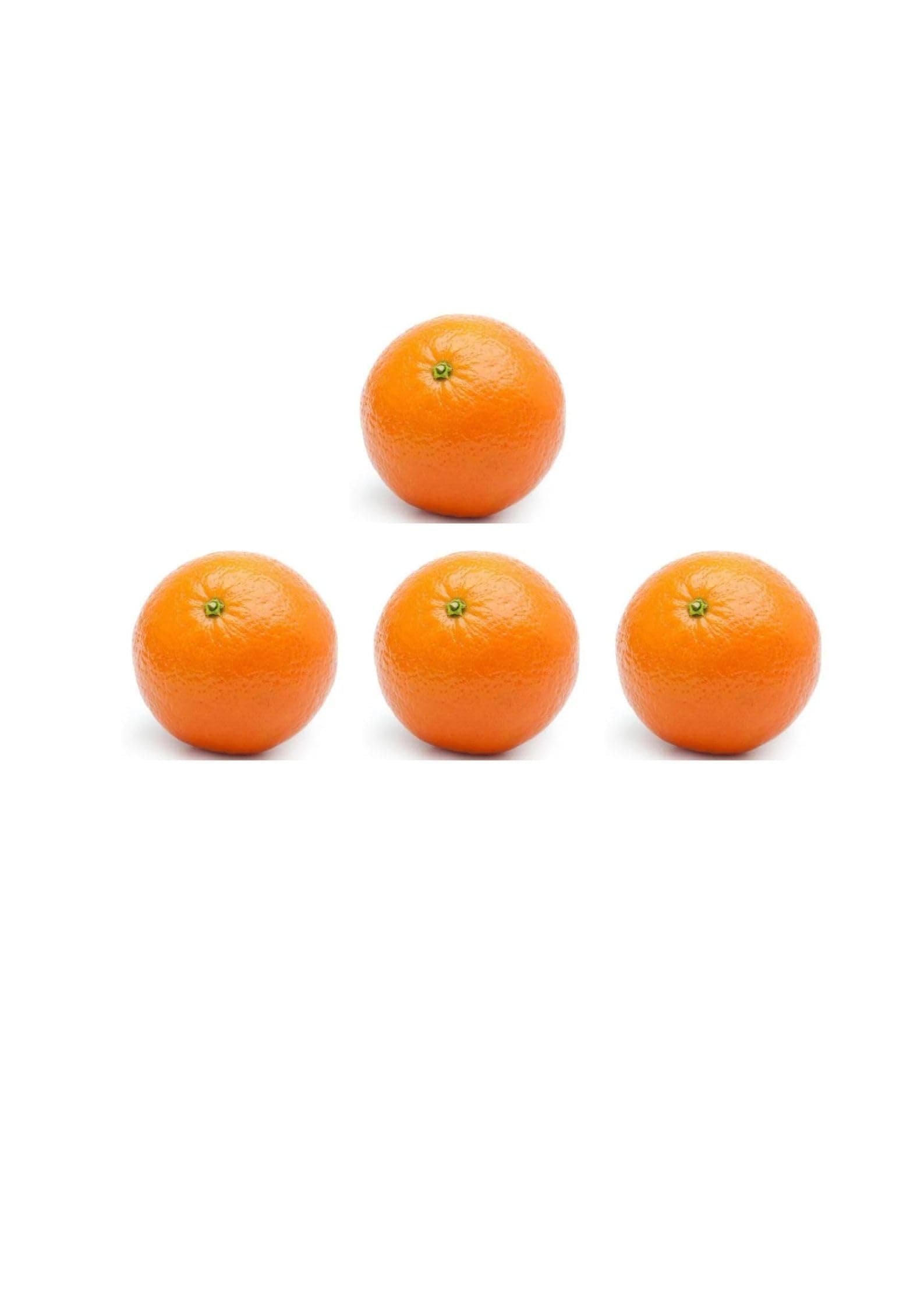 Large Oranges I Pack of 4