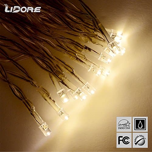 LIDORE 30 Counts LED Mini String Lights. Warm White Color. Best Gift for Decoration. Battery Operated.