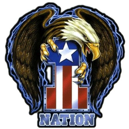 Mindfull Designs - American Eagle 1 Nation - Sticker / Decal