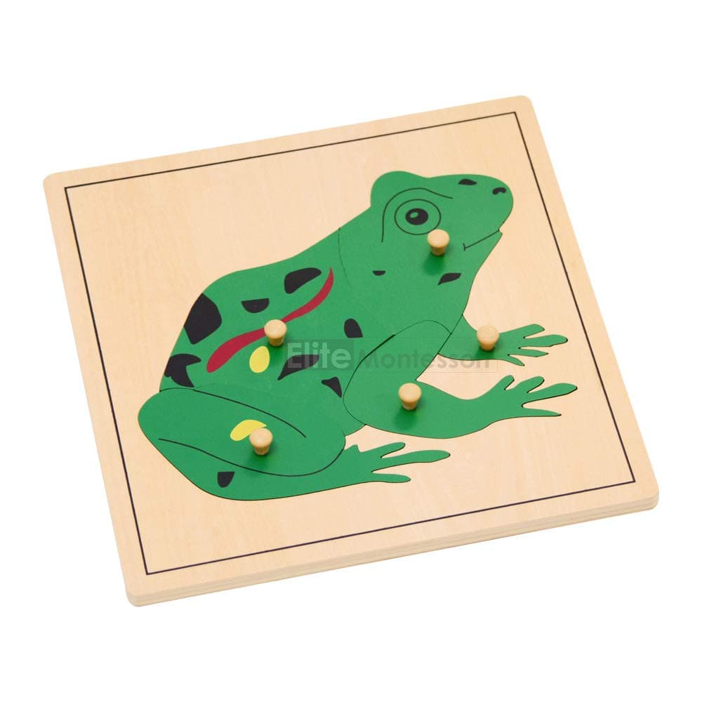 Montessori Frog Puzzle