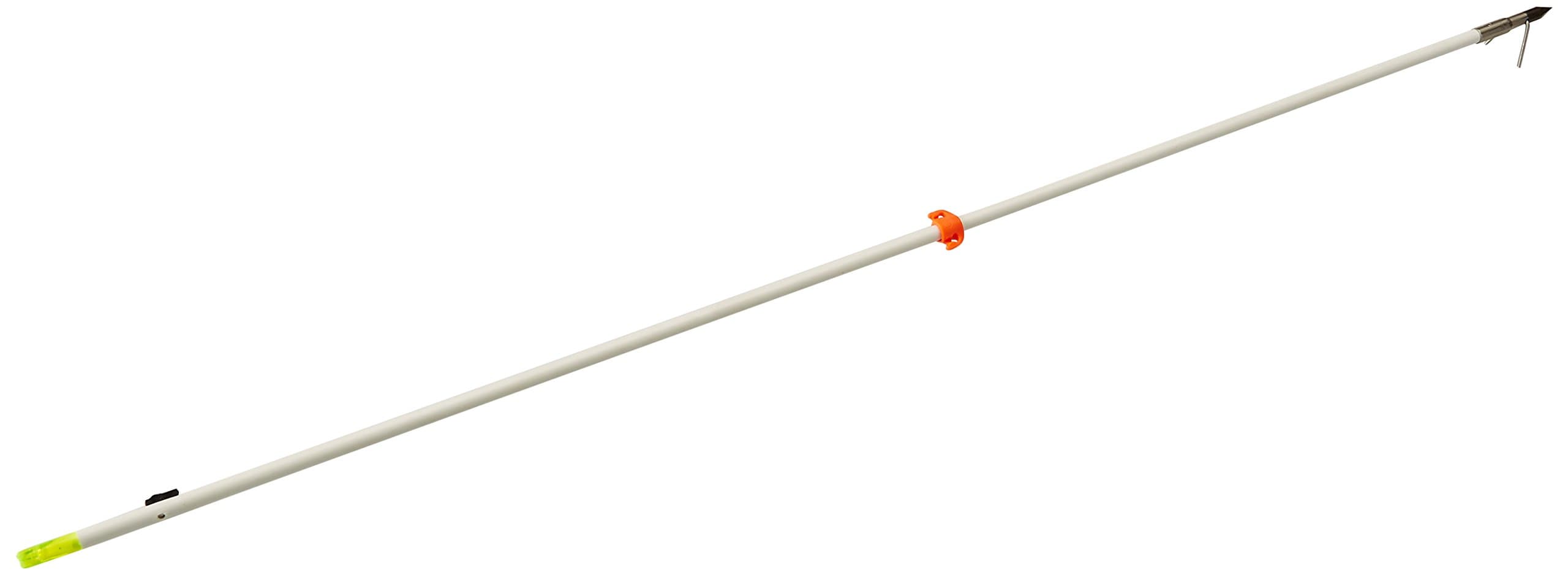 Muzzy Bowfishing Classic Fish-Arrow with Carp Point