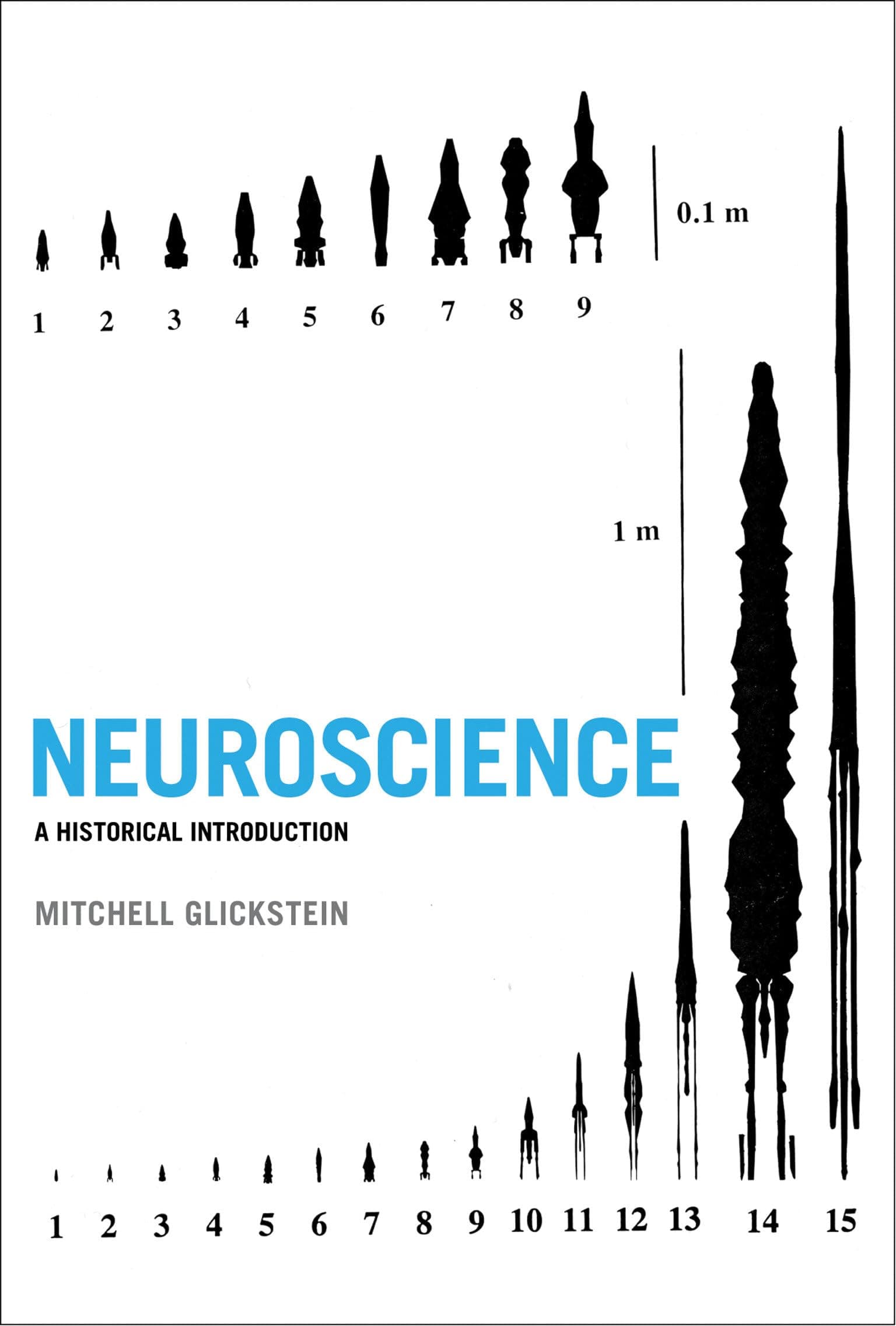 Neuroscience: A Historical Introduction (The MIT Press)