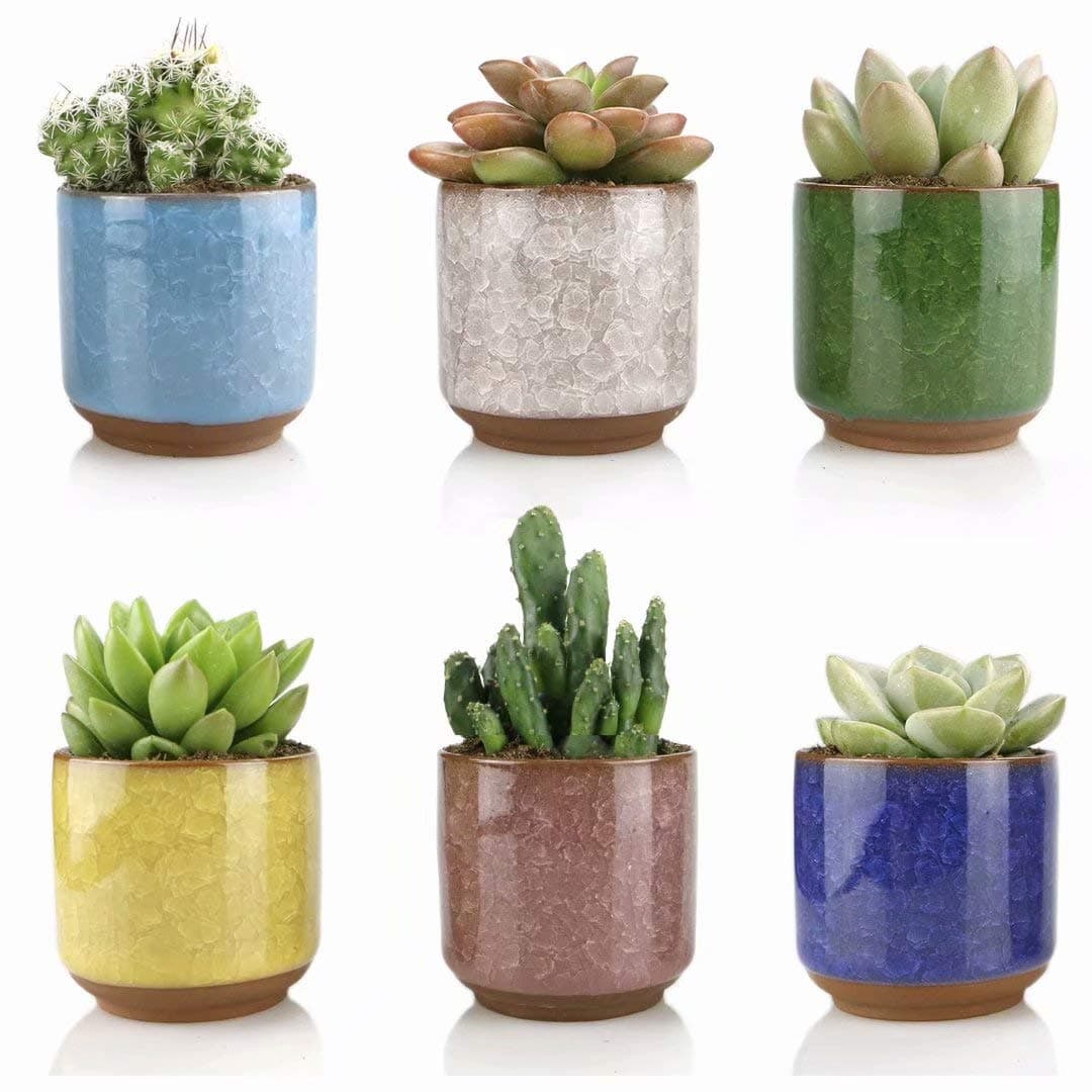 Ceramic Succulent Planter Pots -6pcs 2.5 Inch Small Ice Crack Succulent Pots,Cactus Clay Pots Containers Window Boxes with Drainage