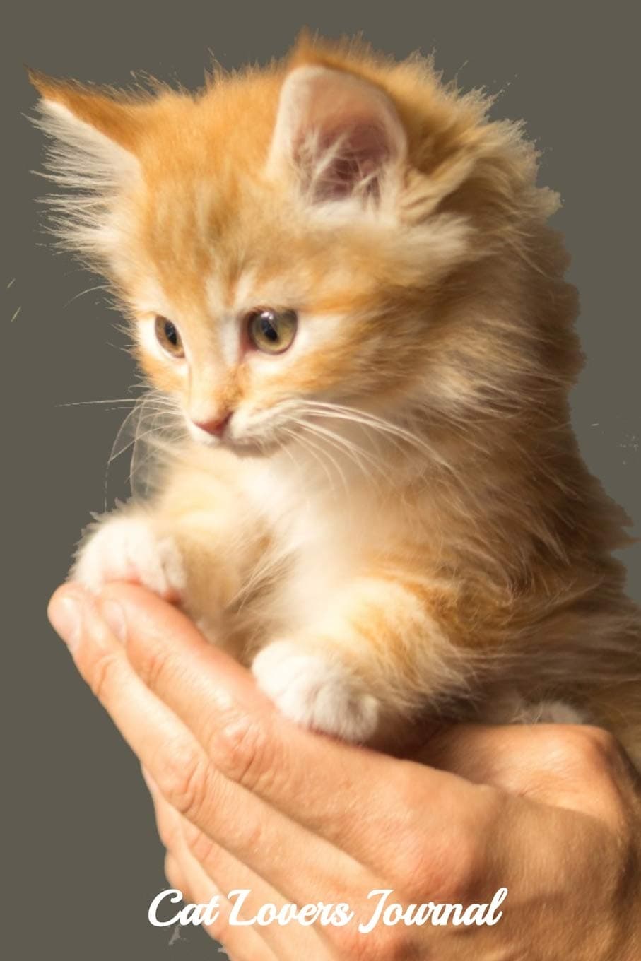 Cat Lovers Journal: tiny Kitten Design - A journal to record all of the amazing things that happen in your life 6 x 9 100 pages