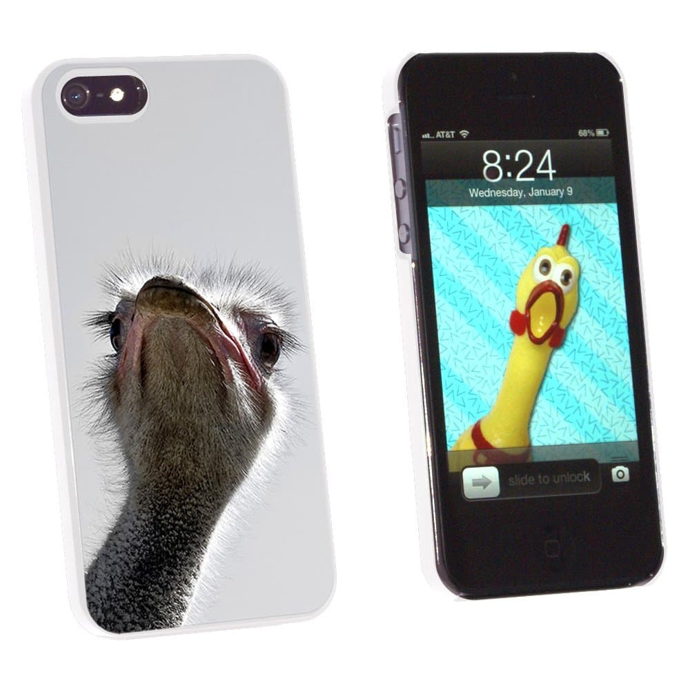 Graphics and More Ostrich Bird - Funny - Snap-On Hard Protective Case for Apple iPhone 5/5s - Non-Retail Packaging - White