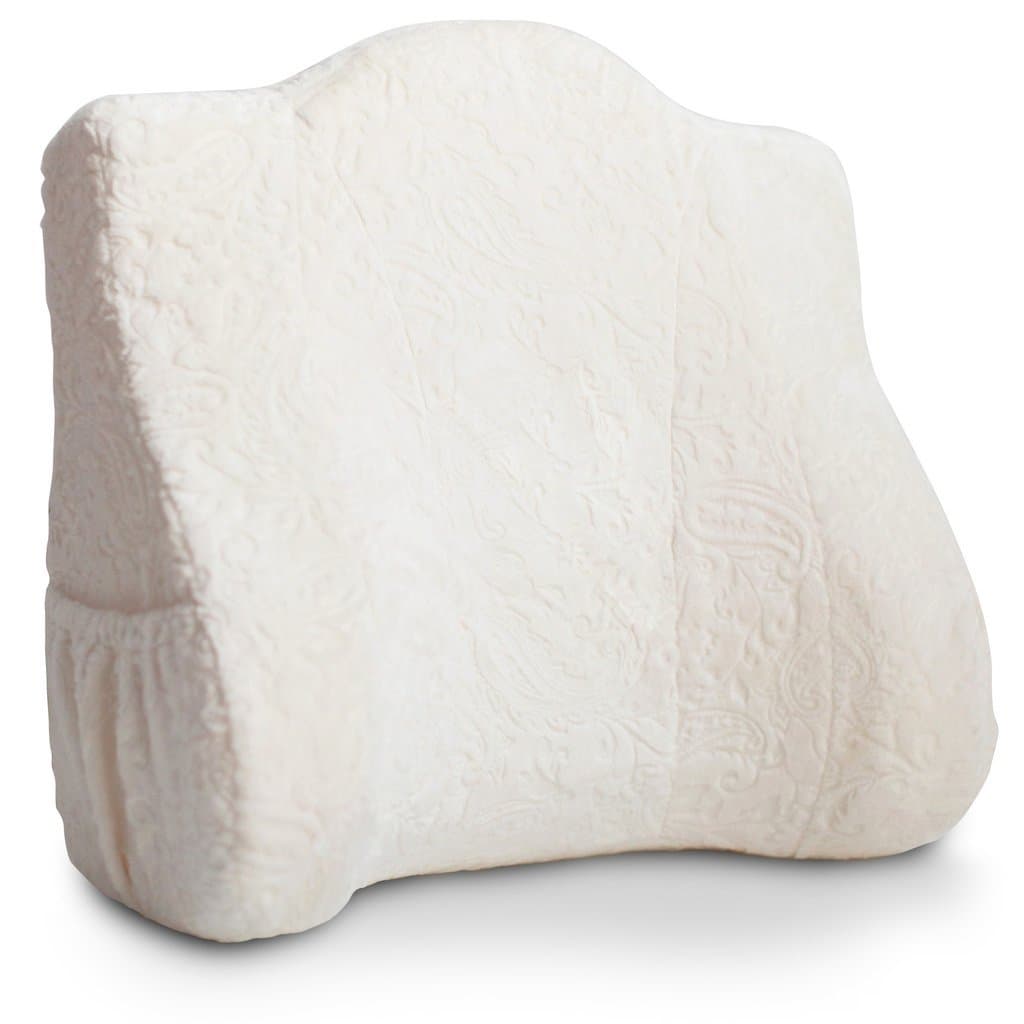Back Buddy Support Pillow for Pregnancy Postpartum Feeding and Back Support, Minky Paisley/Ivory Paisley Embossed