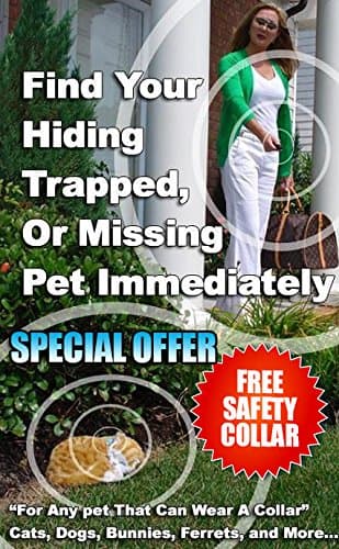 Best Pet Tracker Small Enough for Cats & Small Dogs - Blue Collar Receiver + 1 Keychain Remote * Free Safety Collar * Free I.D. Tag Stickers! *Great Gift IDEA!