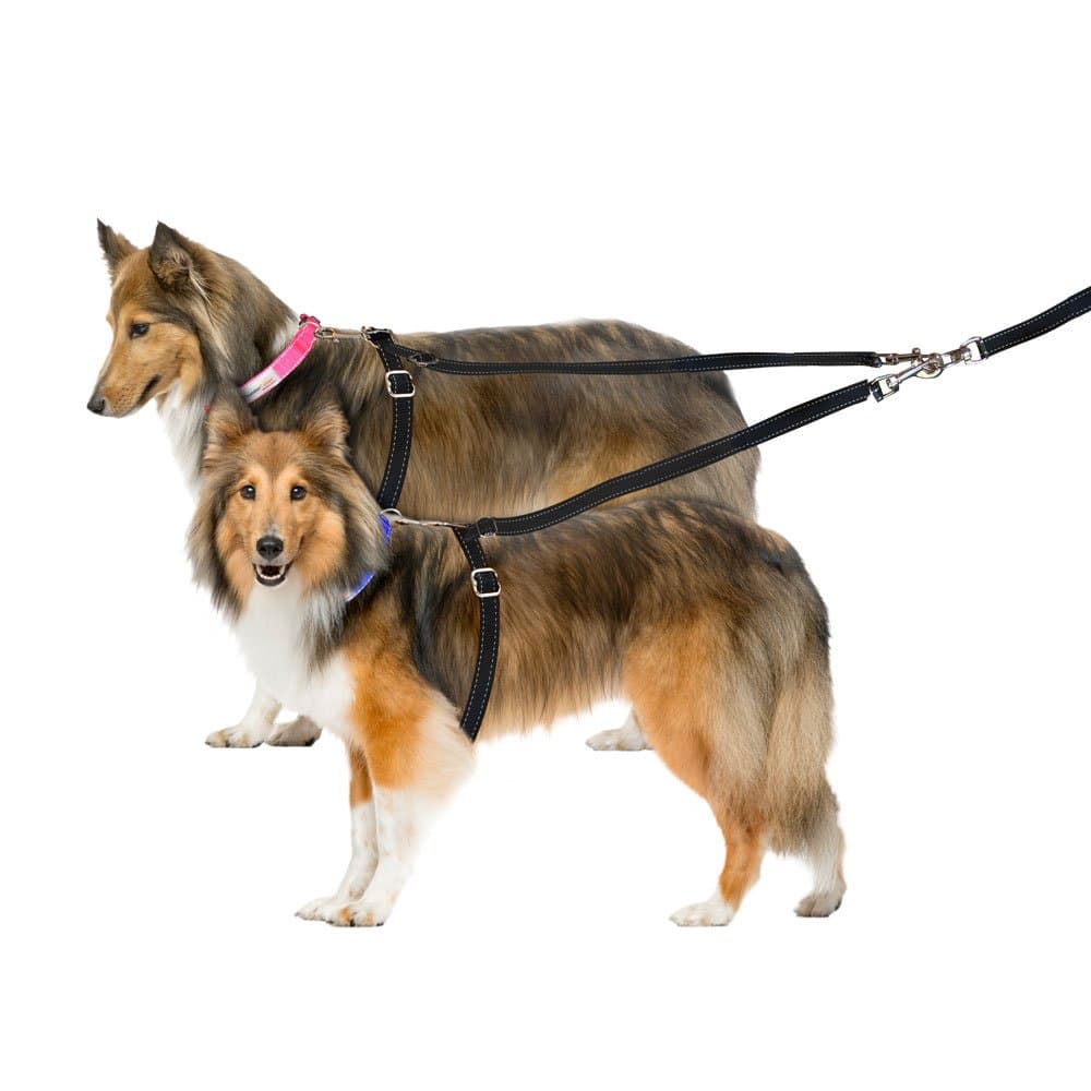 ThunderLeash Standard for 2 Dogs