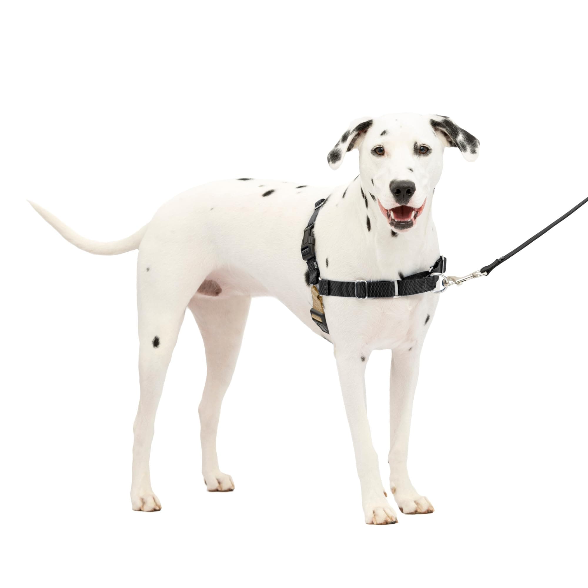 Easy Walk No-Pull Dog Harness - The Ultimate Harness to Help Stop Pulling - Take Control & Teach Better Leash Manners - Helps Prevent Pets Pulling on Walks - Medium/Large, Black/Silver