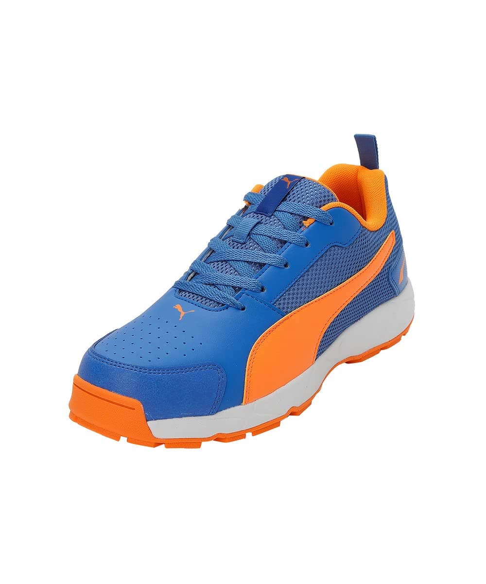 Men Cricket HighRun Cricket Shoe