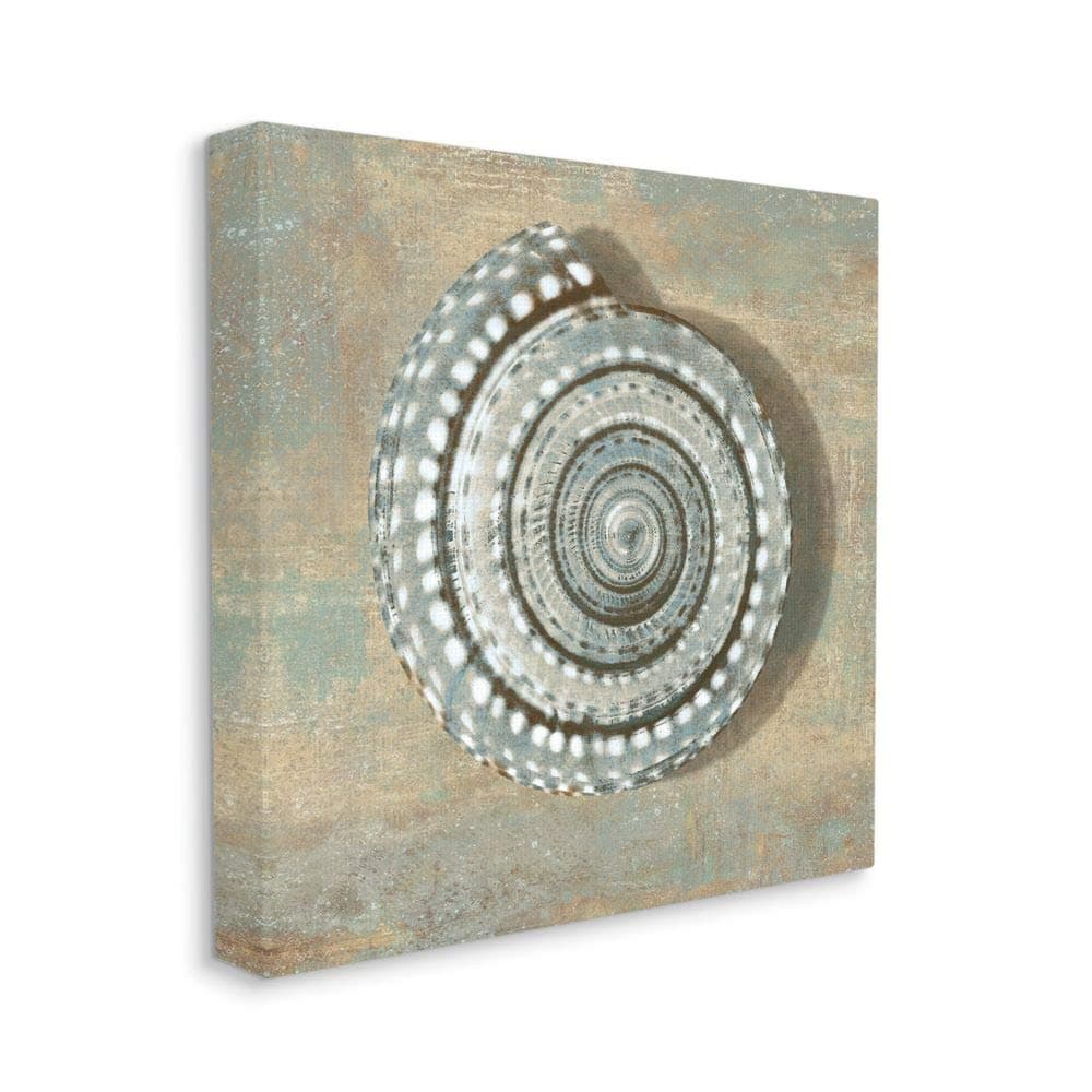 Stupell Industries Spiral Shell Beach Objects Design, Designed by Christy McKee Wall Art, 36 x 36, Canvas