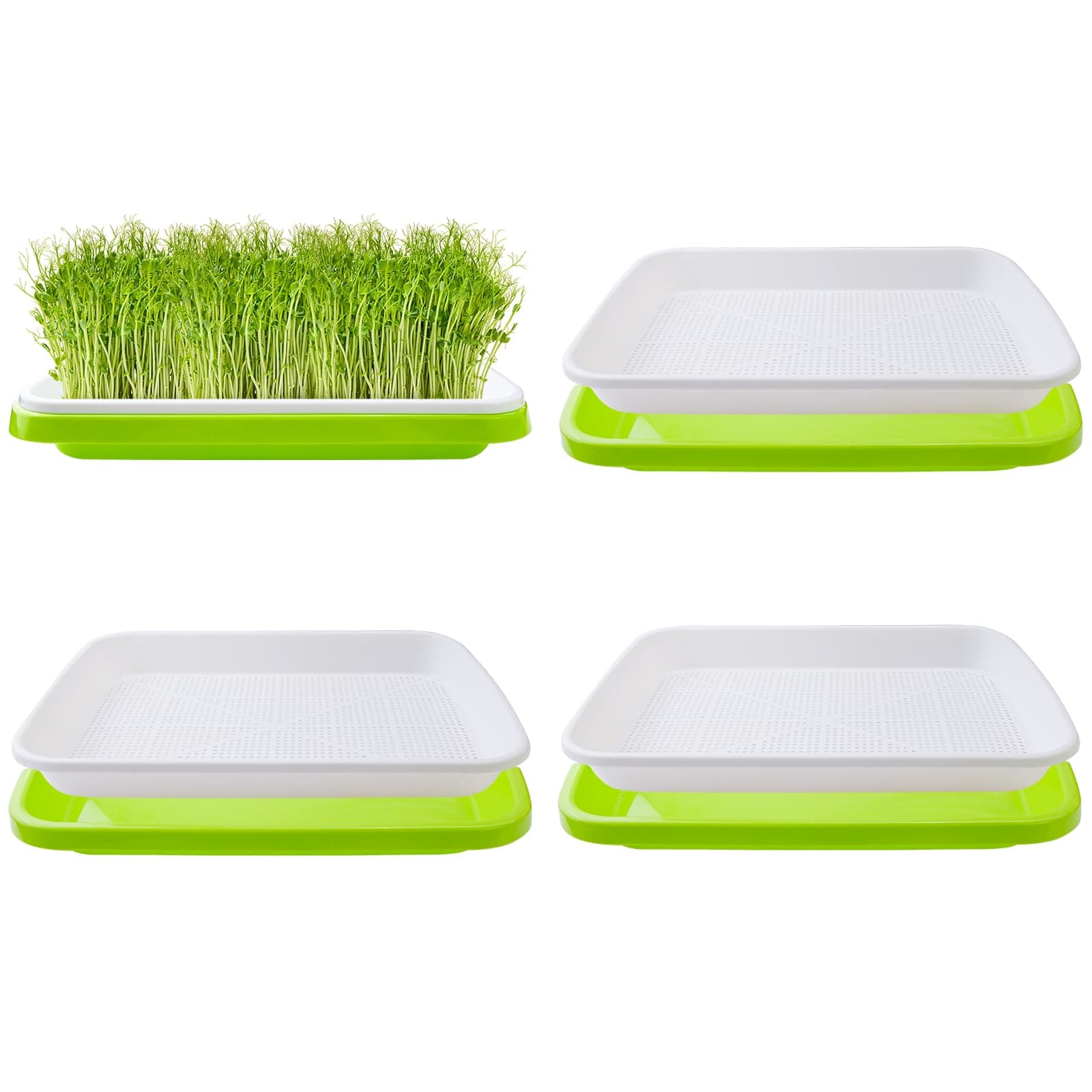 4 Pack Seed Sprouter Tray,32cm x 26cm Large Capacity Sprouting Tray Healthy Hydroponic Propagator with Planting Papers for Mung Beans Alfalfa Wheat Grass Garden (No lids)