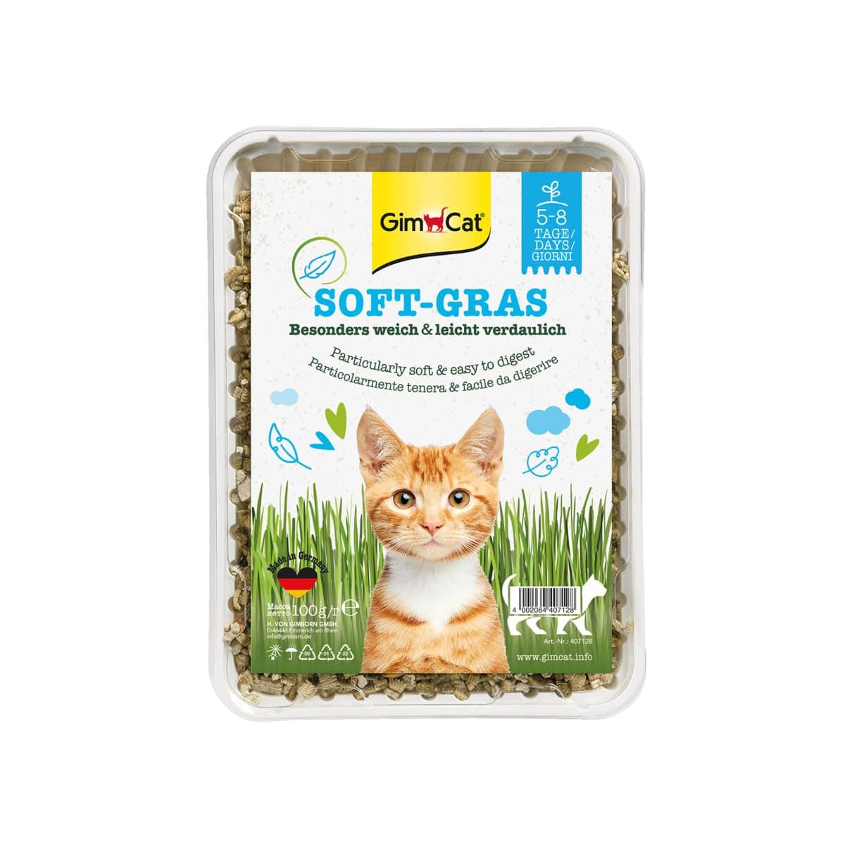 Soft Grass - Fast-growing, tender, vitamin-rich cat grass – ready to harvest in just 5-8 days - 1 punnet (1 x 100 g)