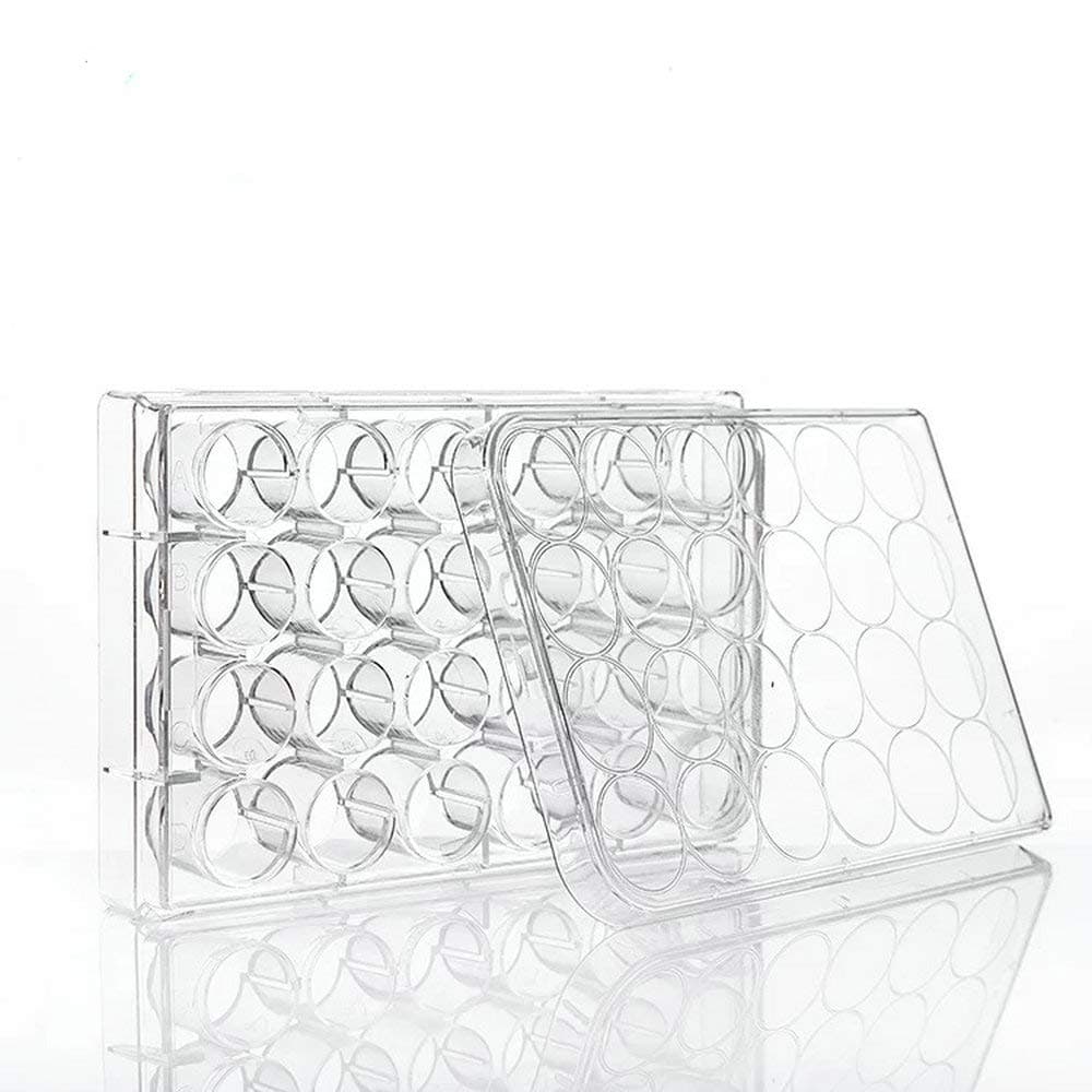 24 Well Plates - with Lid, Flat Bottom, Individual Pack (Pack of 12)