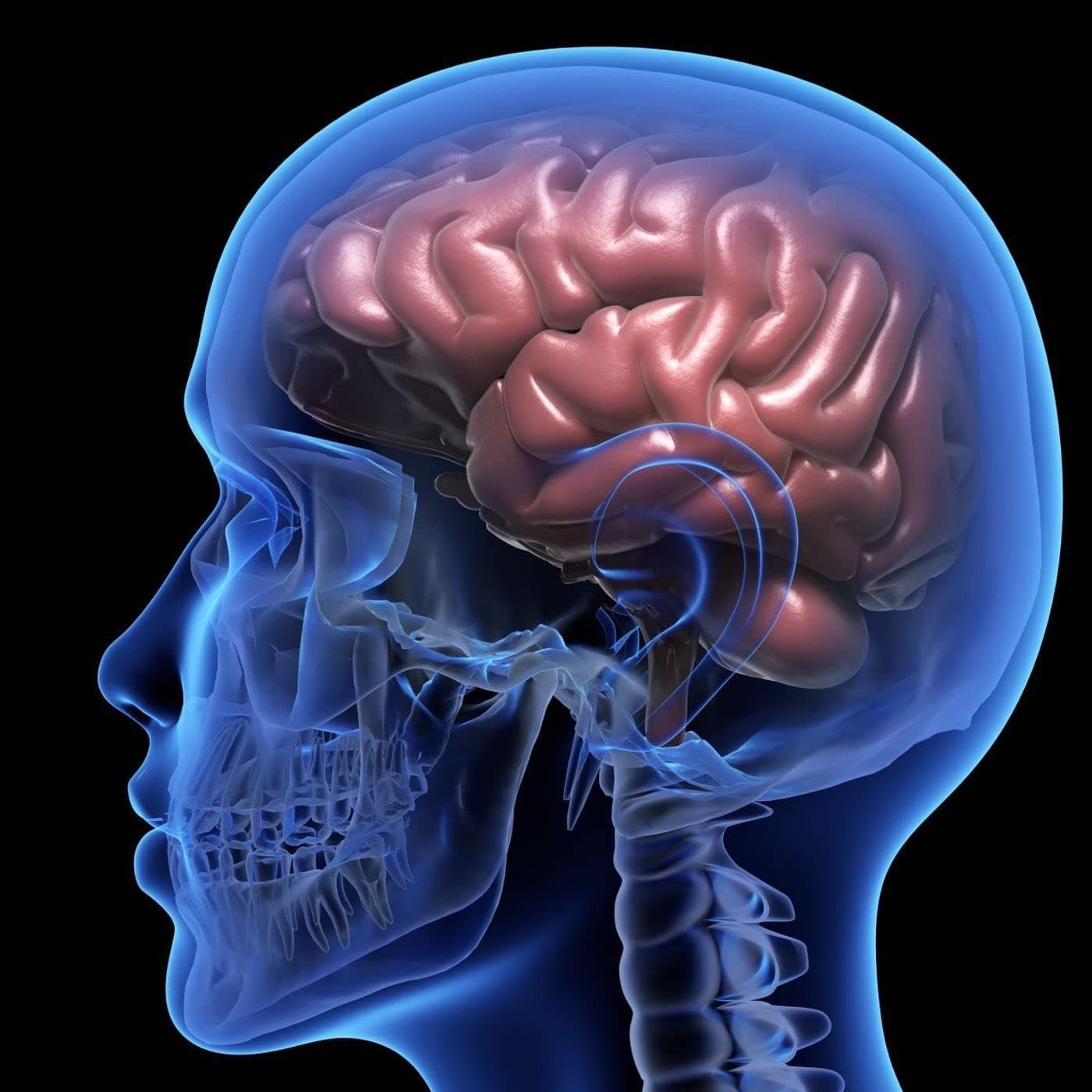 Joel Michael Singer Neuro Doctor