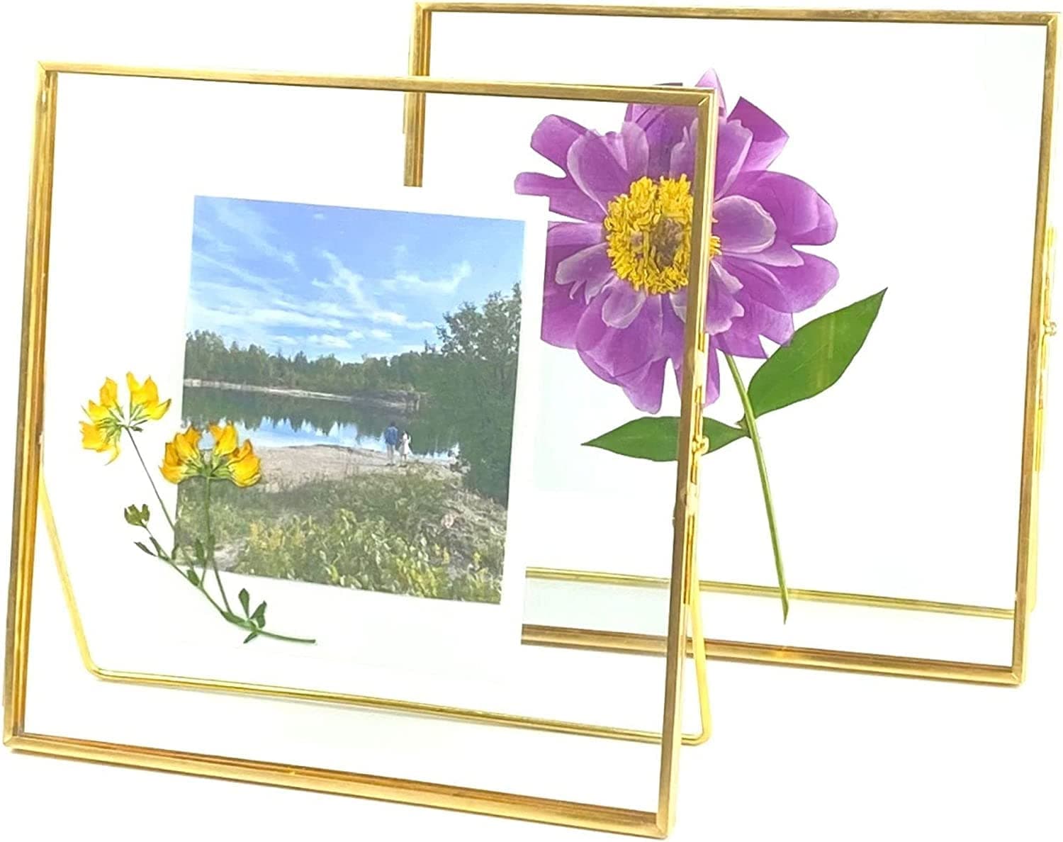Double Glass Frame for Pressed Flowers, Leaf and Artwork,Gold 6x6 Standing Square Metal Picture Frames, Set of 2 Pressed Flower Frames with Stand (Gold, 6x6)