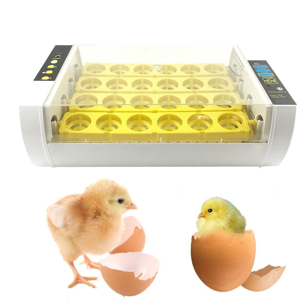 XISTORE Egg Incubator 24 Egg Hatching Automatic Machine for Chicken Goose Duck Birds Poultry Hatcher Digital Automatic Turning Temperature Control Small Size Adjustable Rope Measure