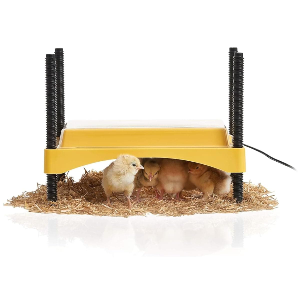 Ecoglow Safety 600 Brooder Plate for up to 20 Chicks - Energy Efficient 12 Watt Heat Plate for Ducklings and Poultry - Adjustable Low Voltage Design