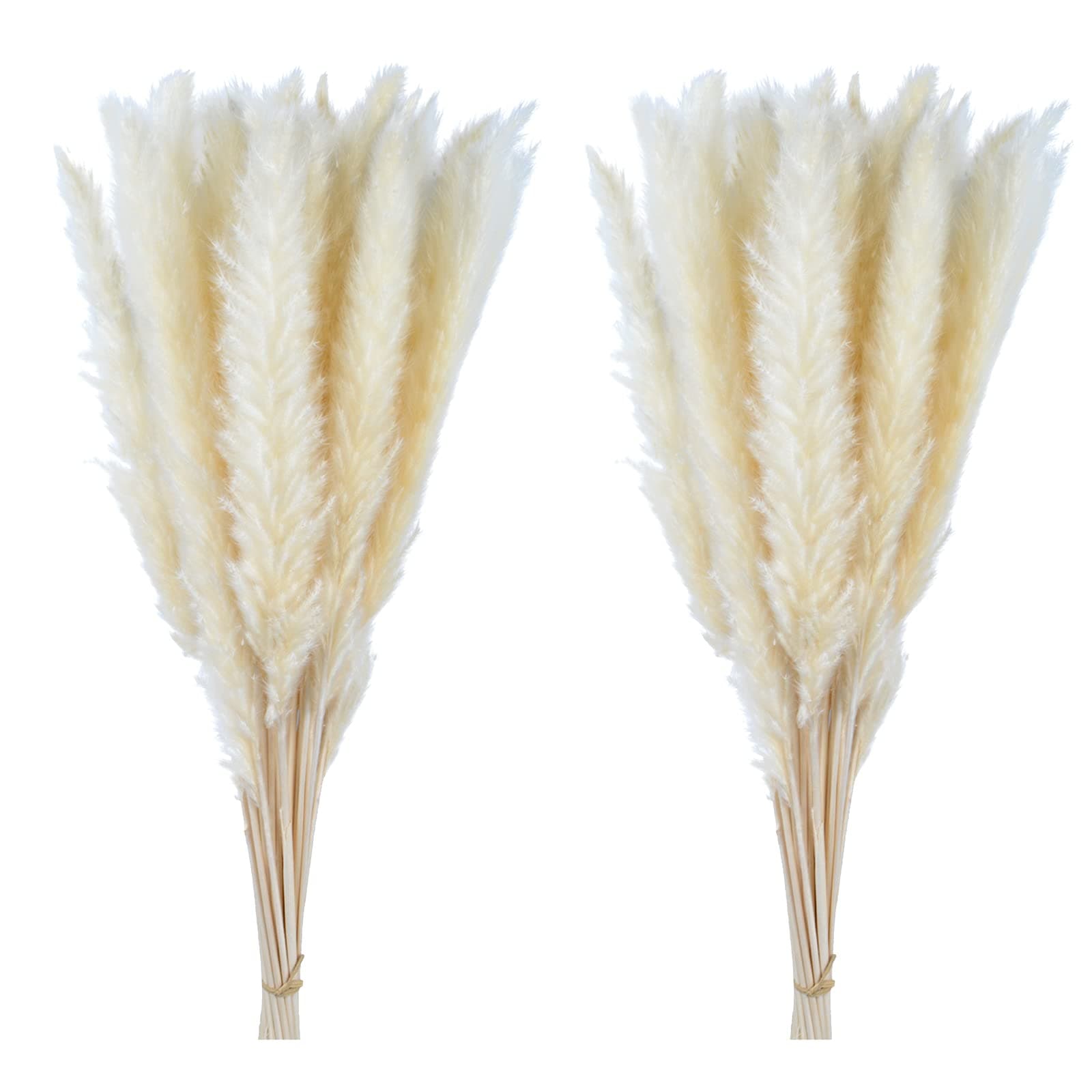 60 Pcs Pampas Grass 18” ,Dried Pompous Grass Pompass Branches for Vase Flower Arrangement Wedding Kitchen Home Decor（White）