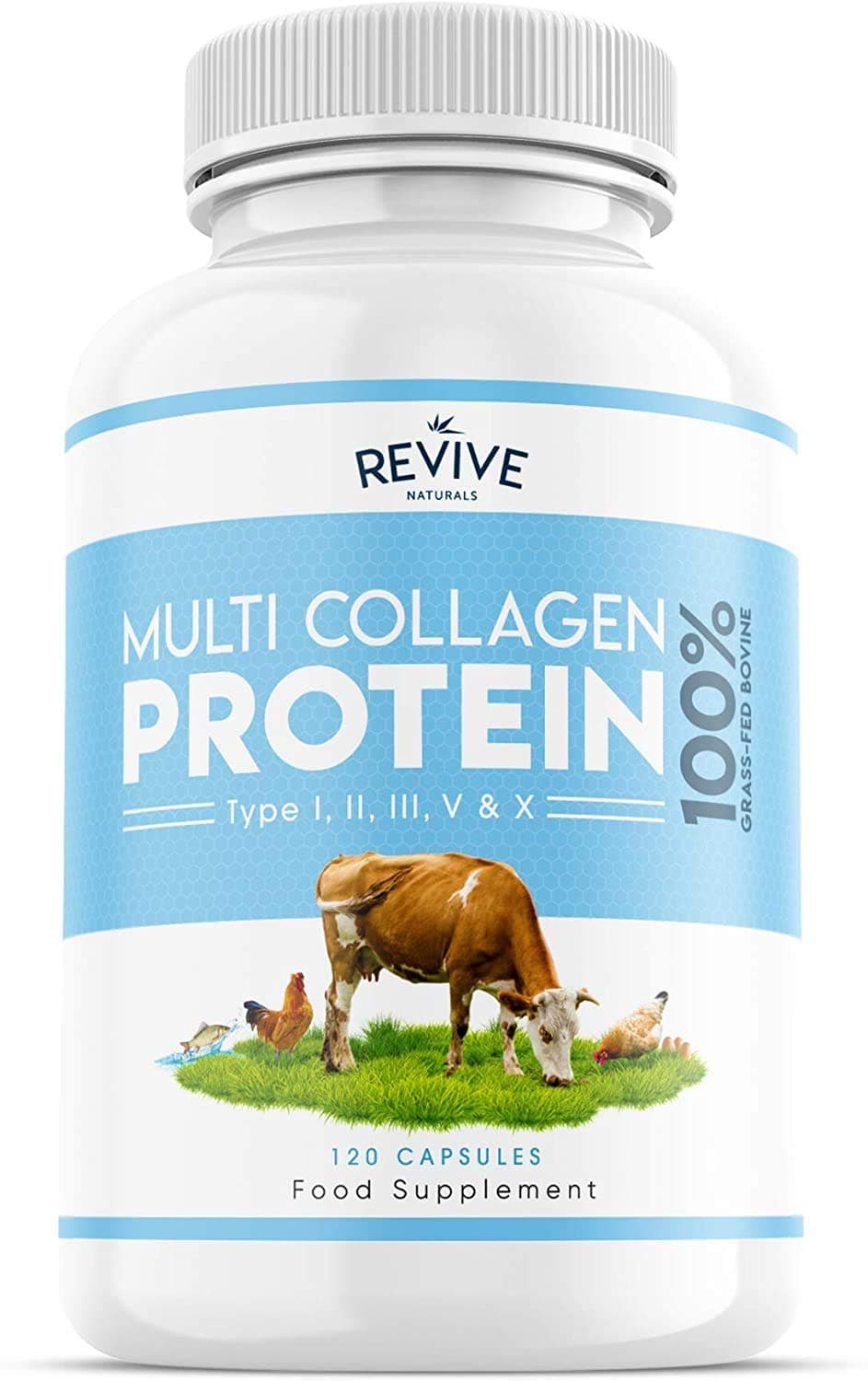 Multi Collagen Protein Capsules - Types I, II, III, V & X - Hydrolysed Grass Fed Bovine, Wild Caught Marine & Free-Range Chicken, with Hyaluronic Acid & Vitamin C, 120 Capsules